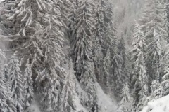 20190114_04