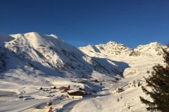 IMG_6356