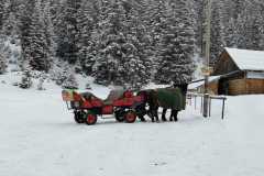 2023-01-Leutasch-14