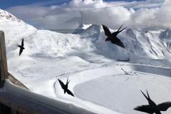 IMG-20230131-WA0006