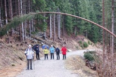 IMG-20240219-WA0018