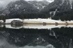 IMG-20240220-WA0019
