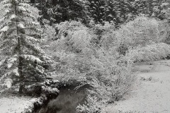 IMG-20240223-WA0004