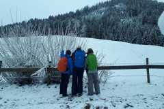 IMG-20240223-WA0032