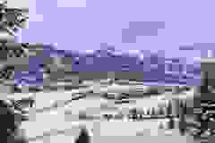 IMG-20240224-WA0014