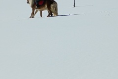 IMG_20250218_111911730-1