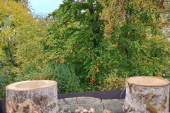 Siebengebirge-2025-10-1