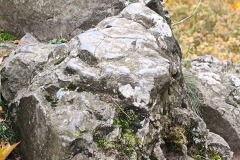 Siebengebirge-2025-10-2