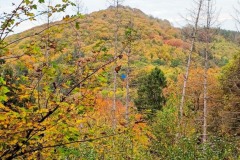 Siebengebirge-2025-10-5