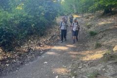 09fc3d58-01ca-4001-aece-8daa67c7bee9