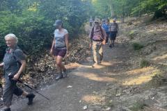 125bcb24-e778-46ec-929c-7c99de84a63b