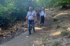 35d41a0c-dd93-4b30-aa15-029e0c4d56d1