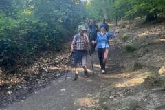 364aa2e9-b67d-4fd6-aa1e-5b0b56de990c