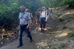 367e91ef-4d2b-400b-ba73-15139ee64191