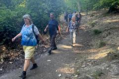 4b80c971-297c-4829-9241-e731fb76a328