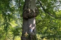 78b59c55-92a1-41ba-963a-cac5aaacd8f9