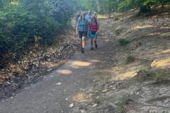 e8ef5317-e99d-41d1-87ef-a3fb62266c4a