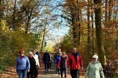 158e9e99-b26d-411c-bf46-db2665c8881c