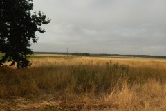 DSCN4741
