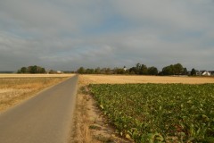 DSCN4743